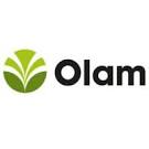  INFORMATION SECURITY ANALYST at OLAMGROUP